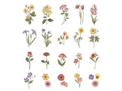 40 Pcs Nature PET Plastic Stickers Pack // 20 Different Pattern * 2 Pcs // Flowers, Mushroom, Rosehip, Pine Cone, Maple Pattern Stickers