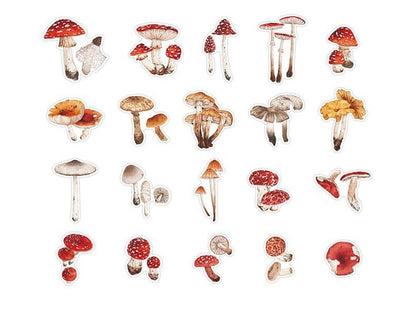 40 Pcs Nature PET Plastic Stickers Pack // 20 Different Pattern * 2 Pcs // Flowers, Mushroom, Rosehip, Pine Cone, Maple Pattern Stickers