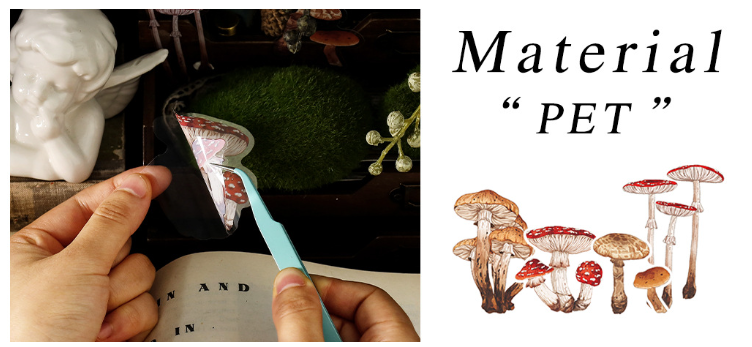 40 Pcs Nature PET Plastic Stickers Pack // 20 Different Pattern * 2 Pcs // Flowers, Mushroom, Rosehip, Pine Cone, Maple Pattern Stickers