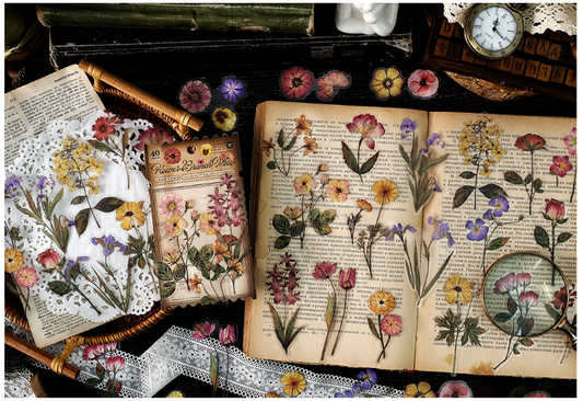 40 Pcs Nature PET Plastic Stickers Pack // 20 Different Pattern * 2 Pcs // Flowers, Mushroom, Rosehip, Pine Cone, Maple Pattern Stickers