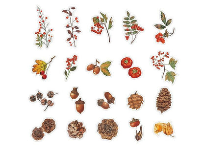 40 Pcs Nature PET Plastic Stickers Pack // 20 Different Pattern * 2 Pcs // Flowers, Mushroom, Rosehip, Pine Cone, Maple Pattern Stickers