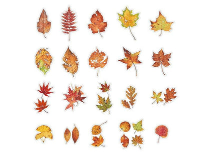 40 Pcs Nature PET Plastic Stickers Pack // 20 Different Pattern * 2 Pcs // Flowers, Mushroom, Rosehip, Pine Cone, Maple Pattern Stickers
