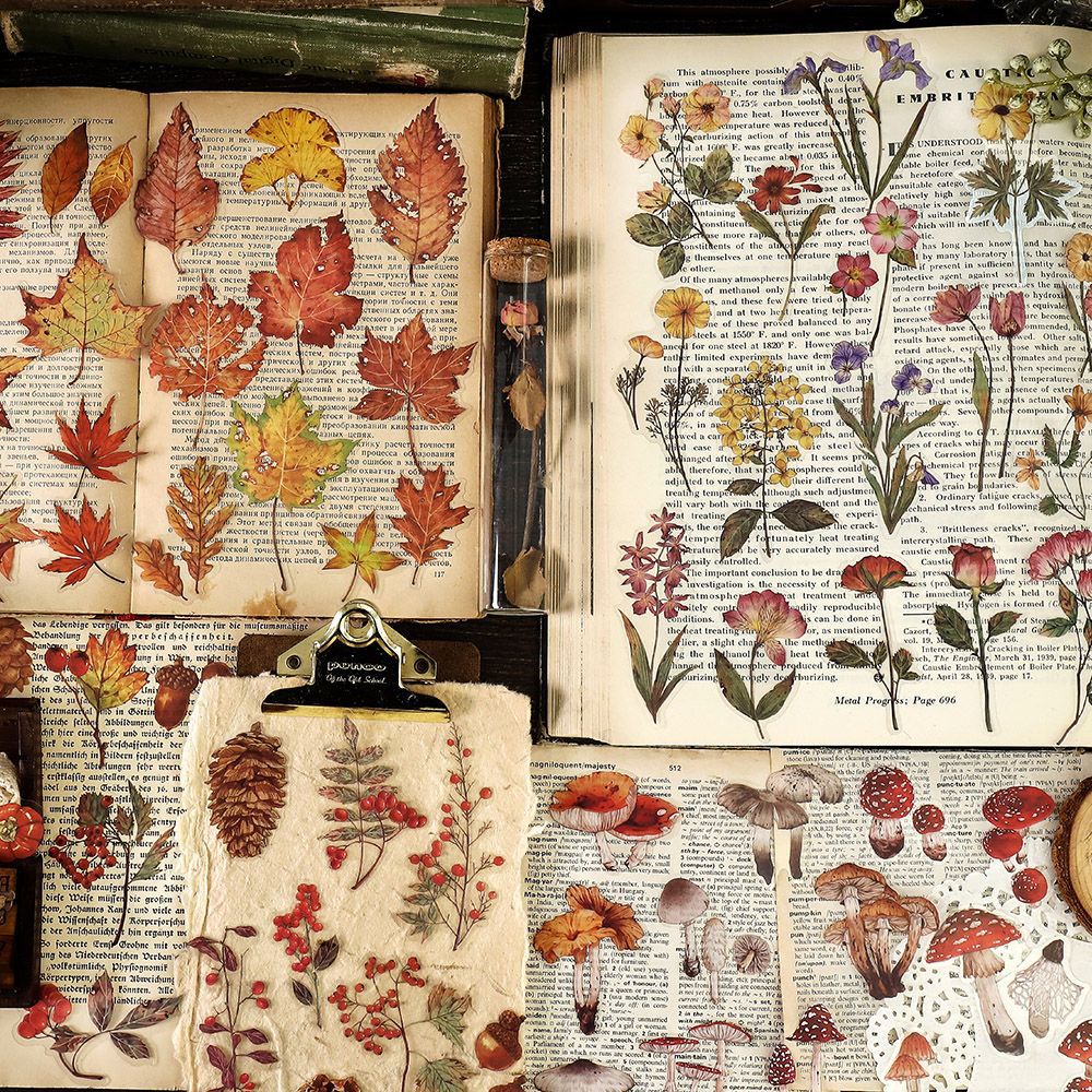 40 Pcs Nature PET Plastic Stickers Pack // 20 Different Pattern * 2 Pcs // Flowers, Mushroom, Rosehip, Pine Cone, Maple Pattern Stickers