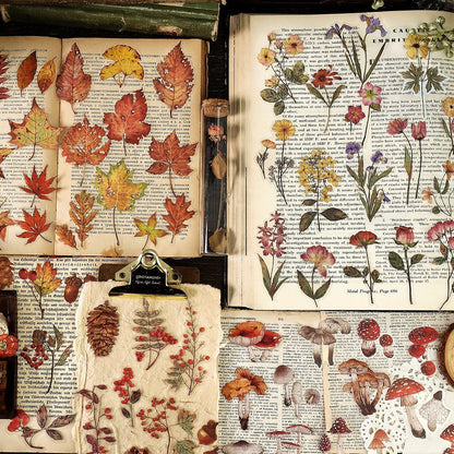 40 Pcs Nature PET Plastic Stickers Pack // 20 Different Pattern * 2 Pcs // Flowers, Mushroom, Rosehip, Pine Cone, Maple Pattern Stickers