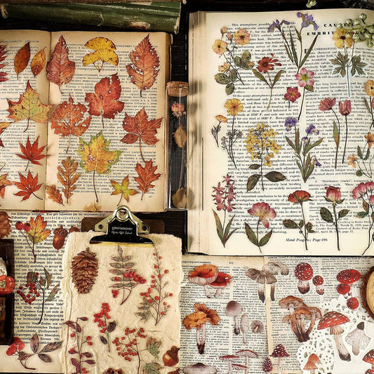 40 Pcs Nature PET Plastic Stickers Pack // 20 Different Pattern * 2 Pcs // Flowers, Mushroom, Rosehip, Pine Cone, Maple Pattern Stickers